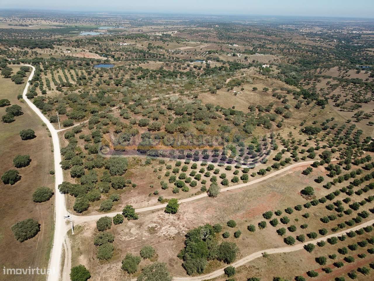 Terreno em Pavia, Mora (MOR058) - Grande imagem: 2/9