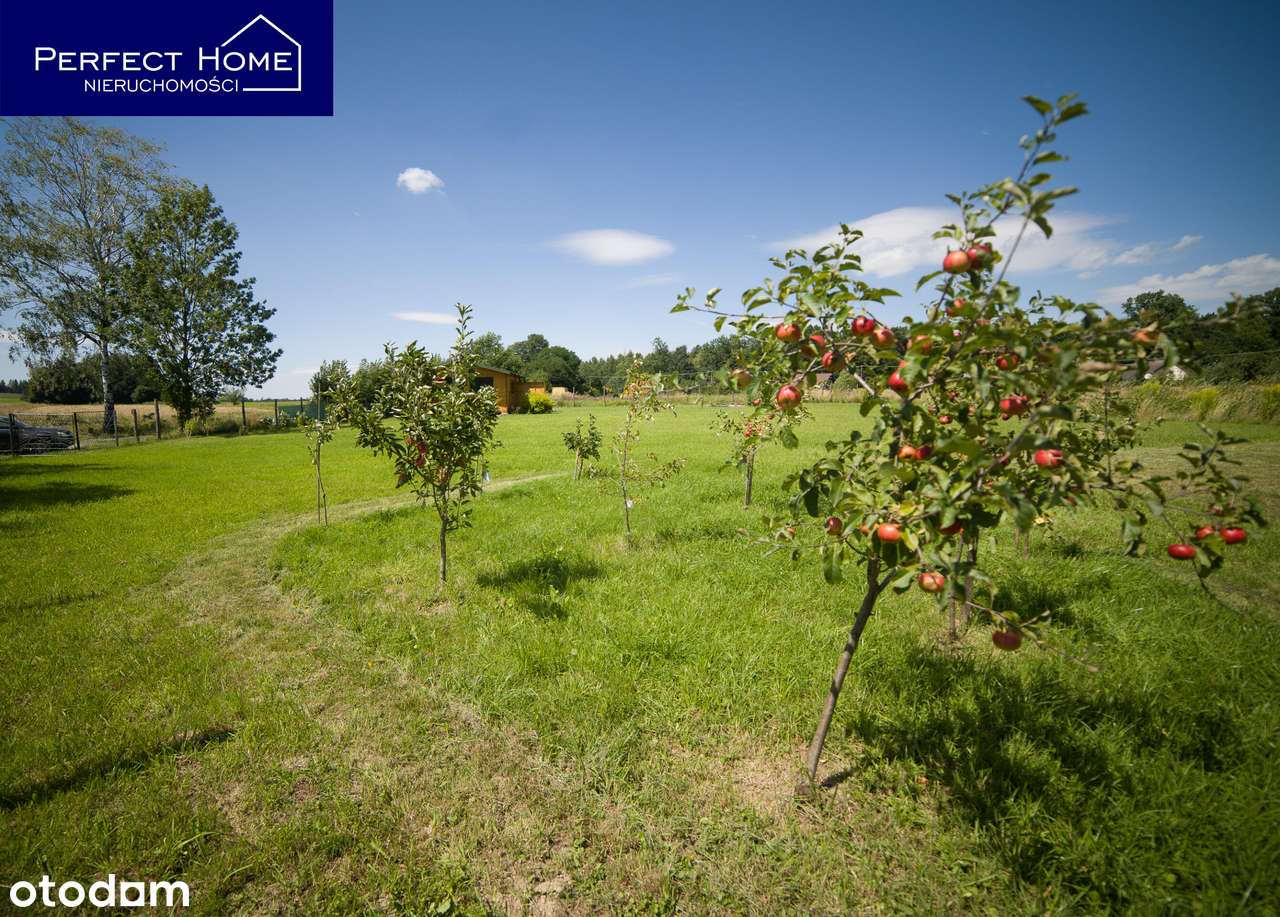 Działka budowlano-rolna z  drewnianym domkiem letniskowym - 67 arów - Pełny obrazek: 5/11