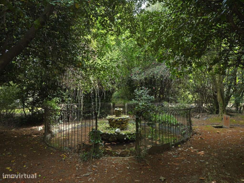 Lindíssima Casa Senhorial | Lamego - Grande imagem: 5/54