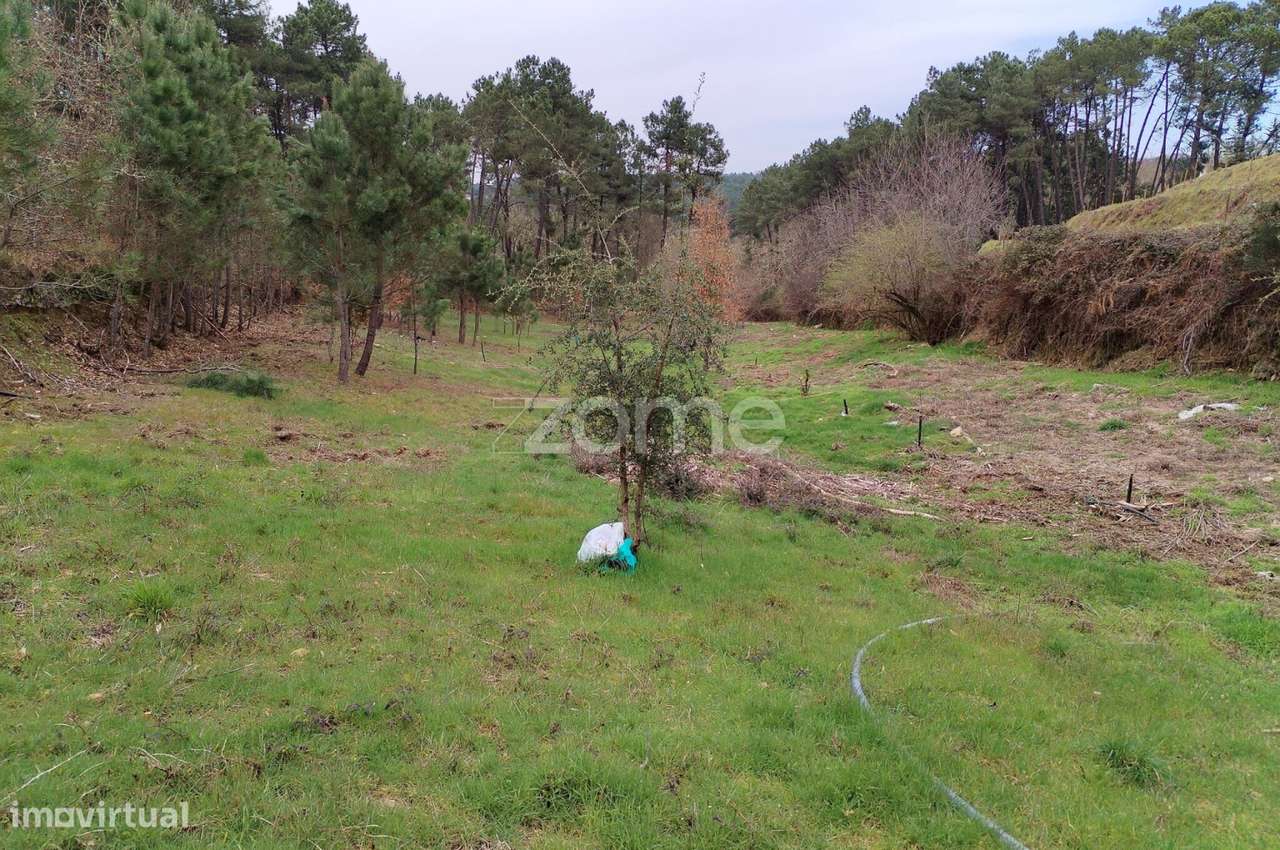 Terreno agricola e florestal.-13