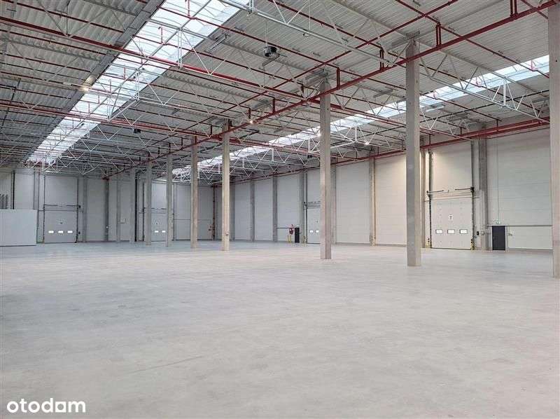 Nowoczesny obiekt magazynowo-produkcyjny przy tras - Pełny obrazek: 2/8