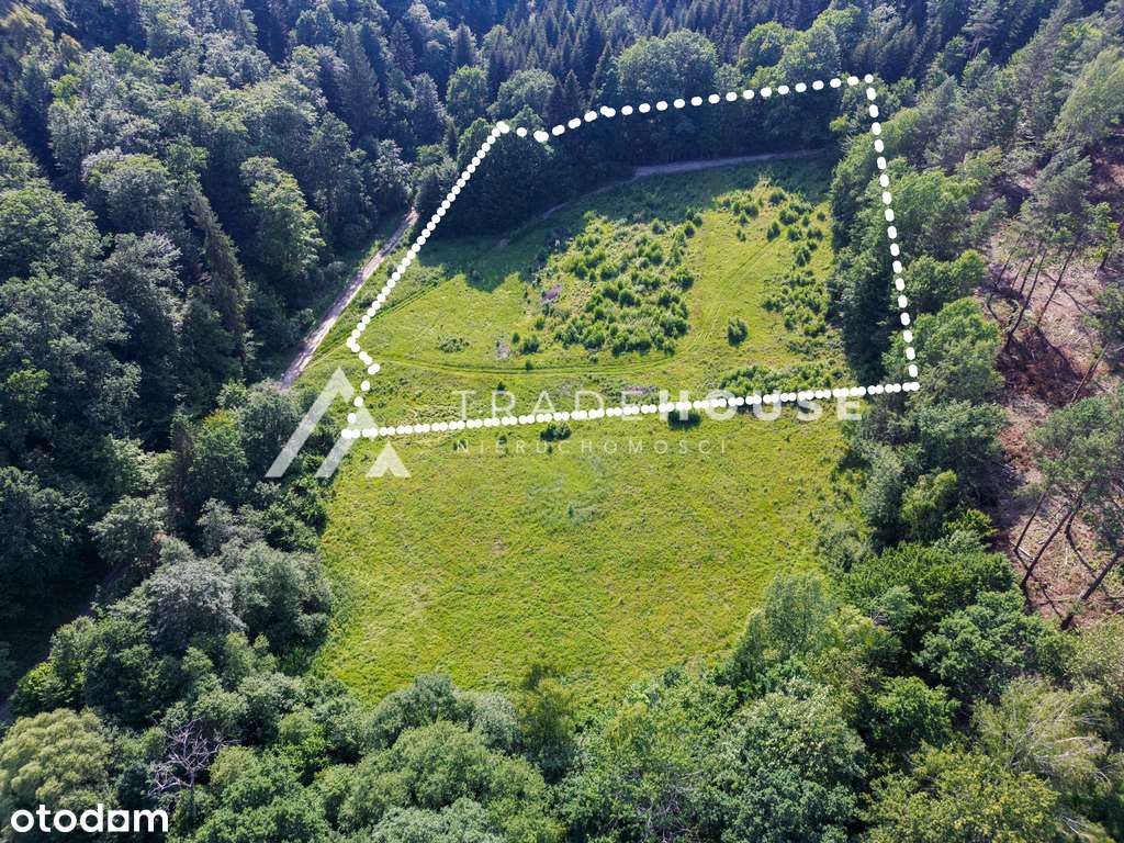 Działki z pozwoleniem na budowę w sercu natury!-4