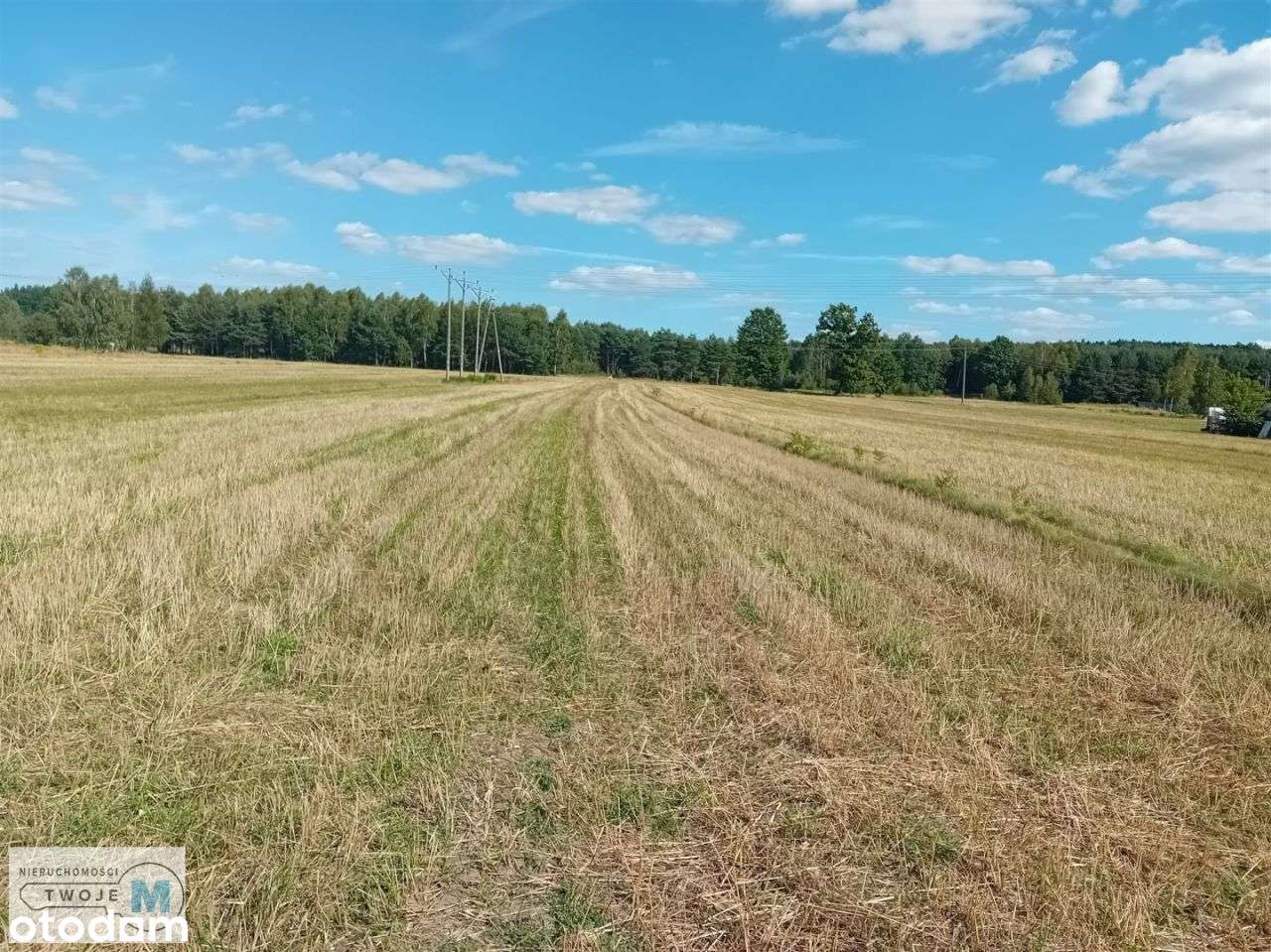 Nowa niższa cena! - nieruchomość Niwy Daleszyckie! - Pełny obrazek: 2/20