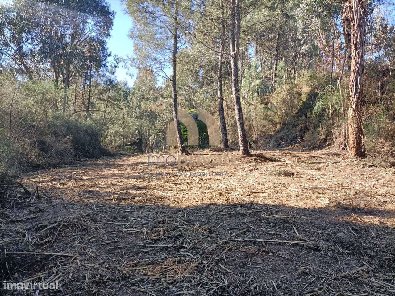Terreno em Infantas, Guimarães-8