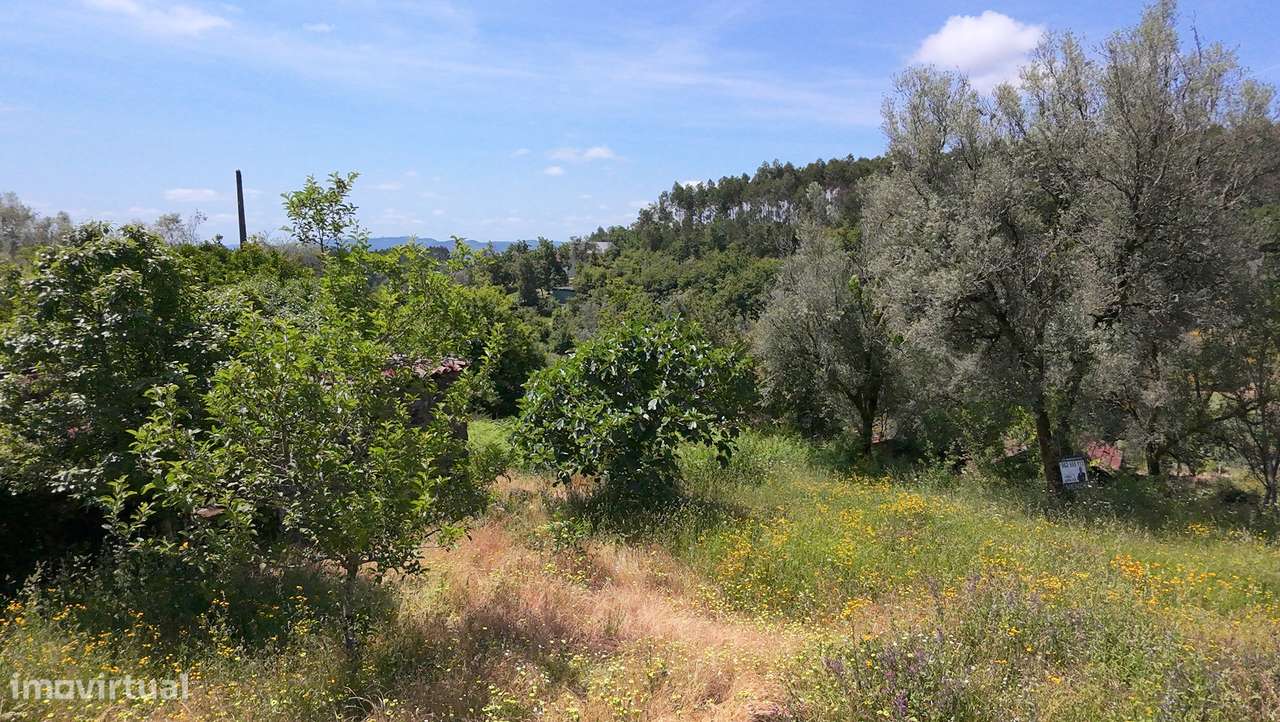 Terreno de 700m2 c/ Ruina-45