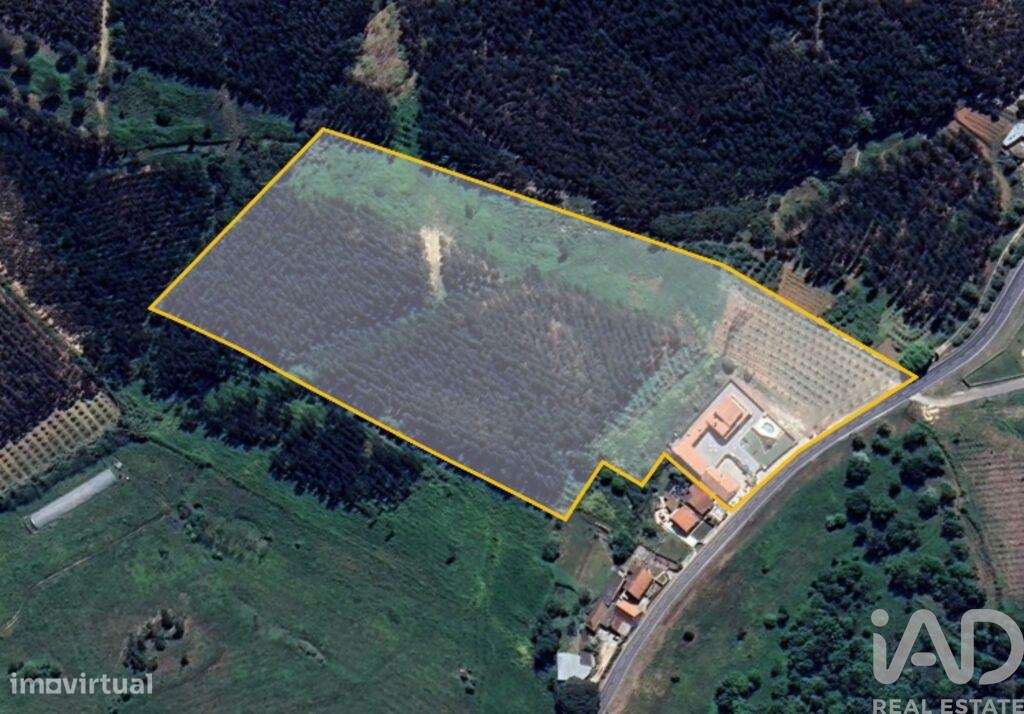 Propriedade T5 em Lamas e Cercal de 372,00 m2 - Grande imagem: 4/30