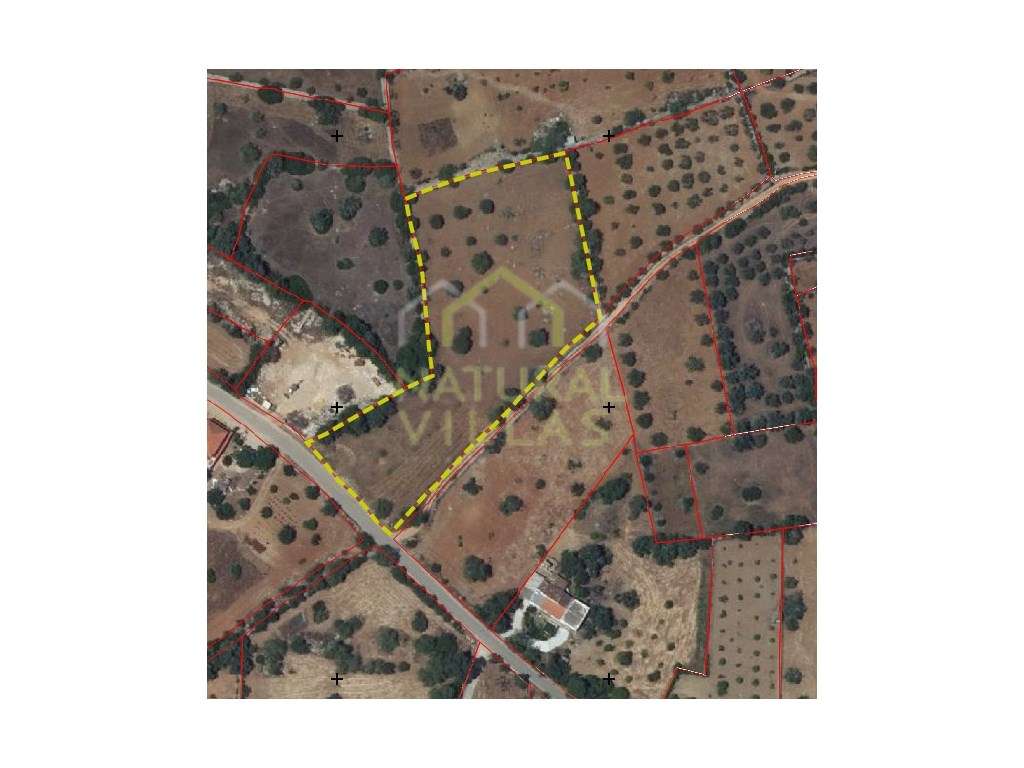 Terreno Rústico Plano junto a Estrada Alcatroada em Estoi - Grande imagem: 5/5