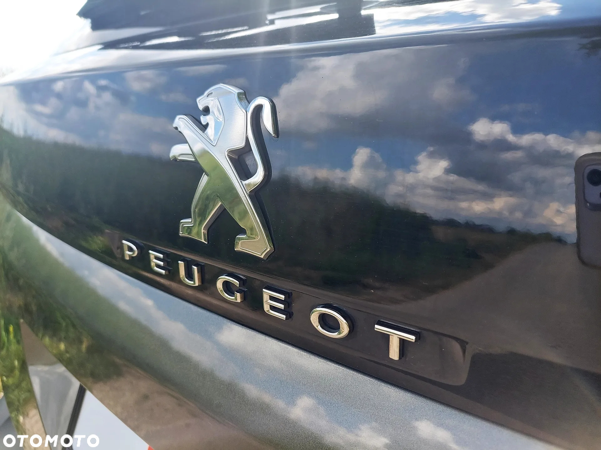 Peugeot 3008 - 17