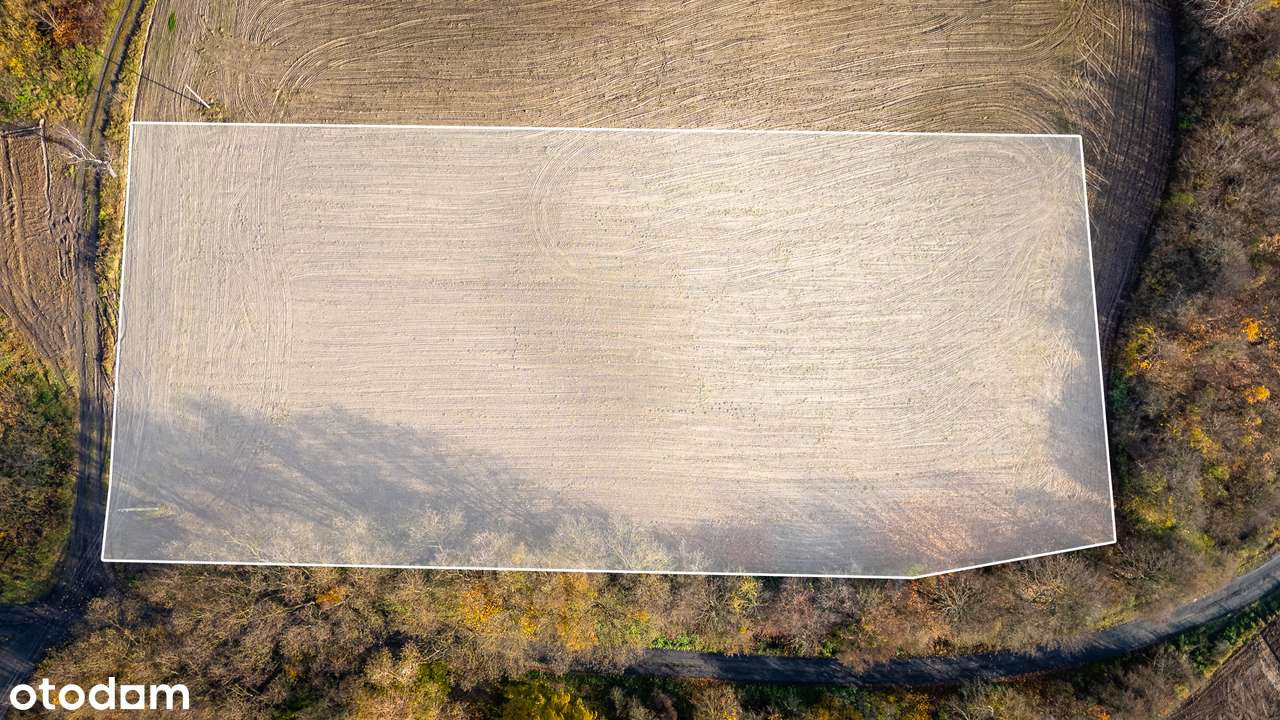 Duża działka budowlana z WZ na 3 domy wolnostojące - Pełny obrazek: 5/20