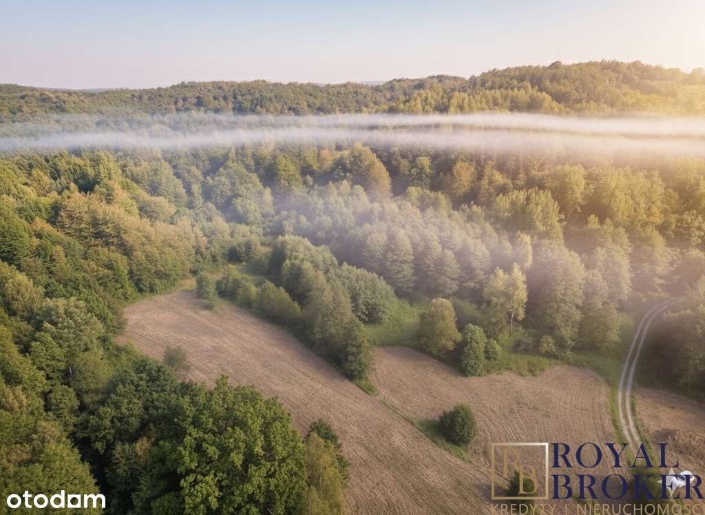 Działka pod dom lub domek letniskowy – 1,25 ha - Pełny obrazek: 4/7