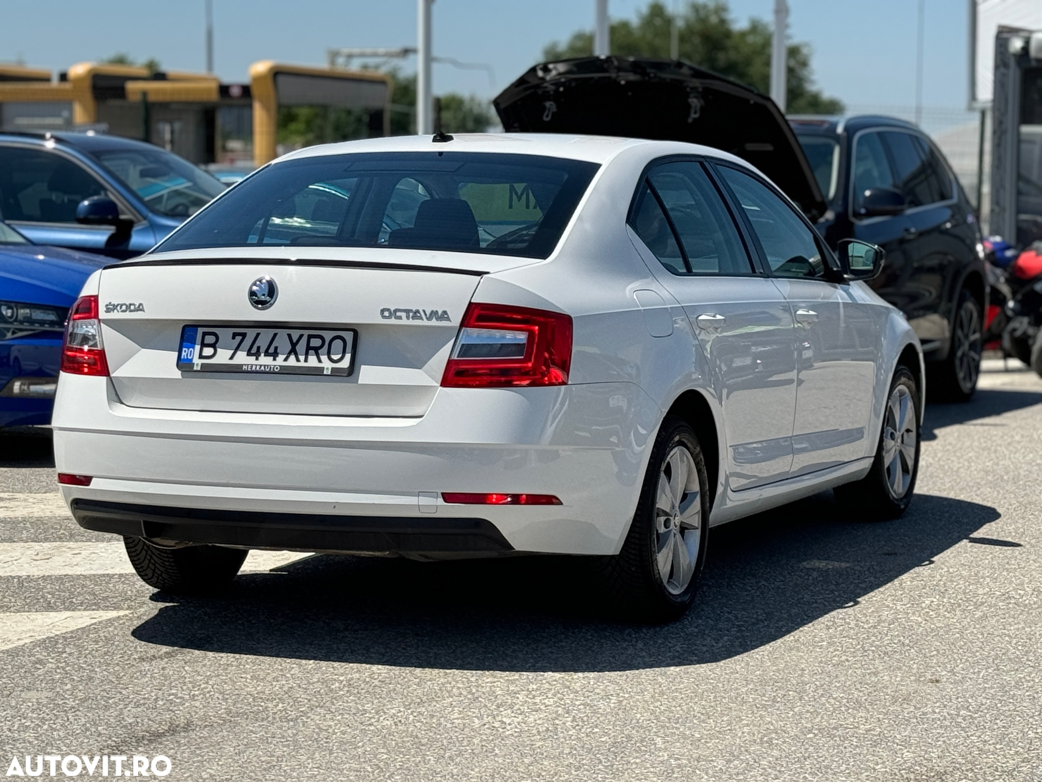 Skoda Octavia - 6