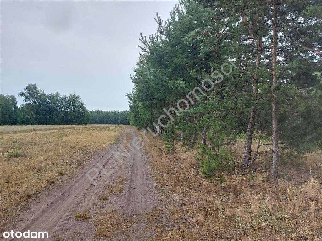 Działka Budowlana W Głuszy Rezerwatu-9