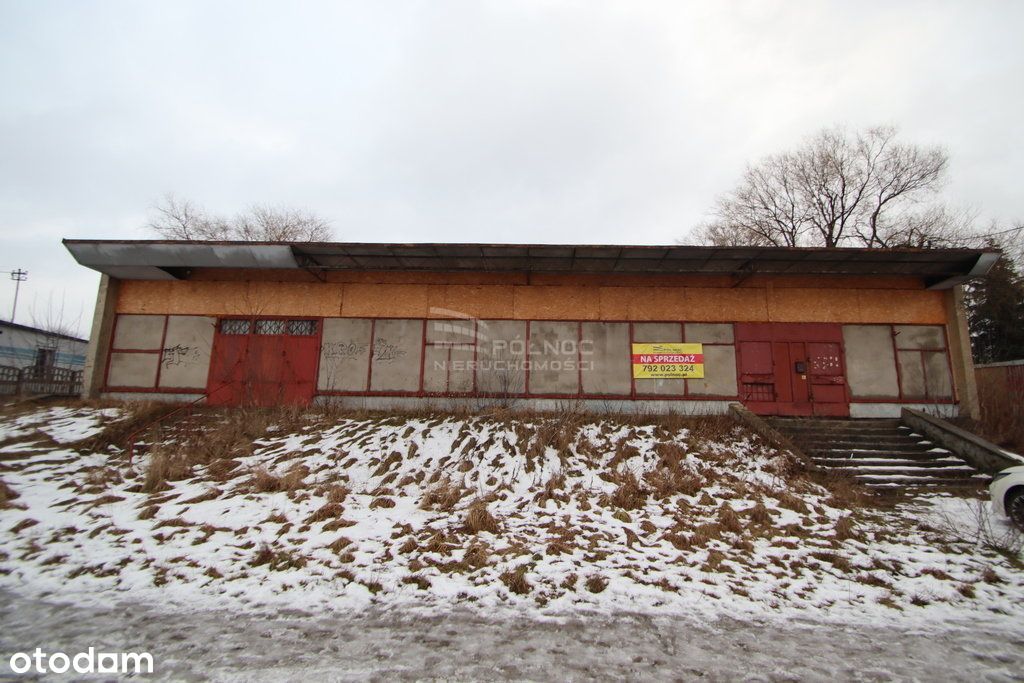 Lokal użytkowy, 230 m², Dąbrowa Górnicza