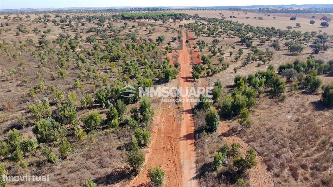 Herdade  Venda em Garvão e Santa Luzia,Ourique-37
