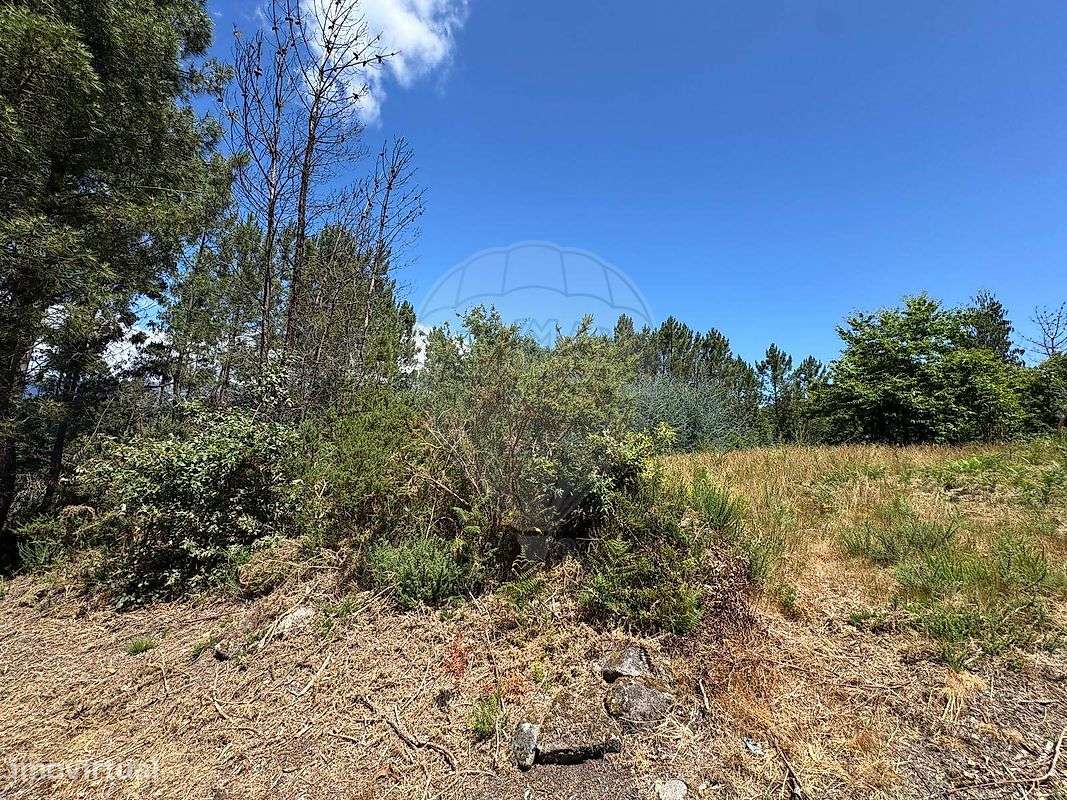 Terreno  para venda - Grande imagem: 4/5