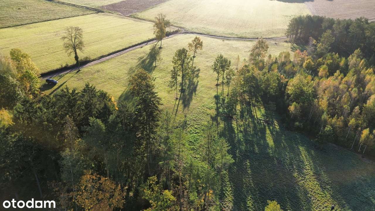 Suchorośl Stare – powrót do natury | 4,36 ha, gm. Świętajno - Pełny obrazek: 5/20
