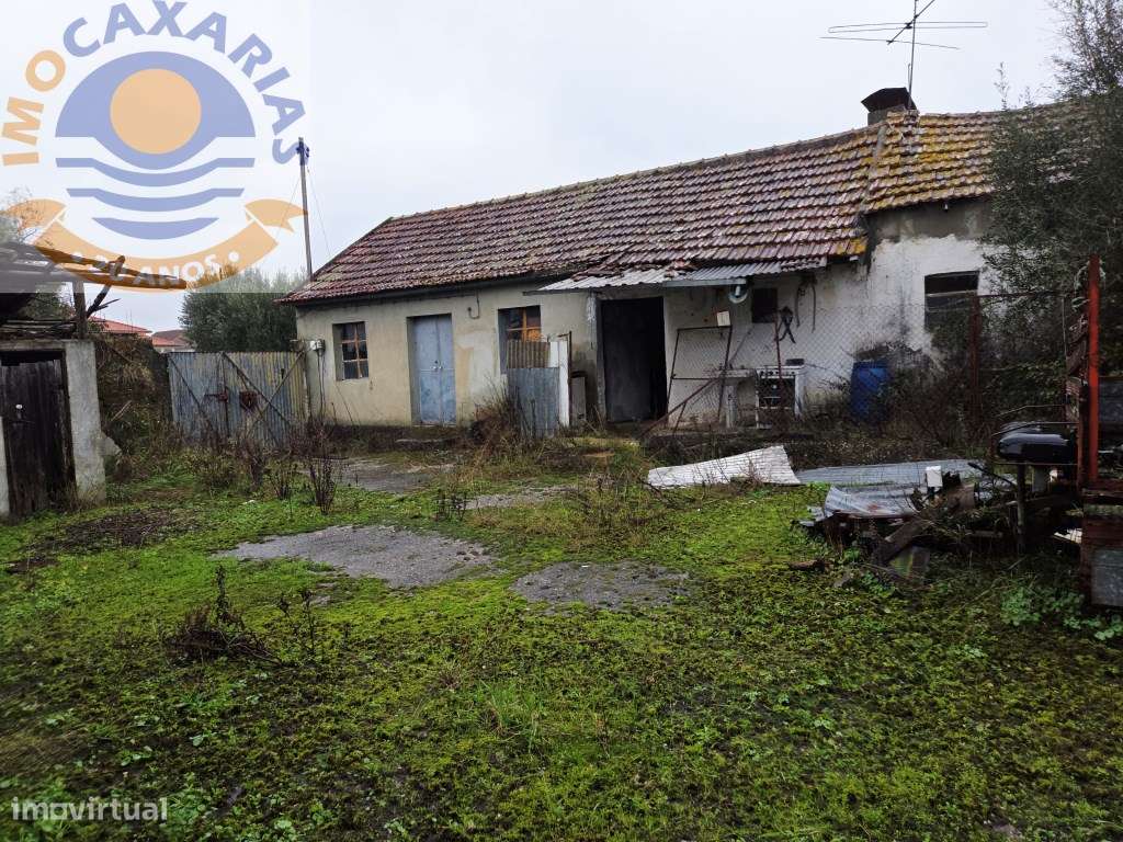 Moradia para Recuperar em Rio de Couros - Ourém | Terreno 1.664 m² - Grande imagem: 4/31