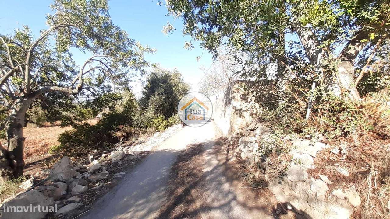 Terreno com Viabilidade de Construção de Moradias na Vila de São Brás - Grande imagem: 3/13