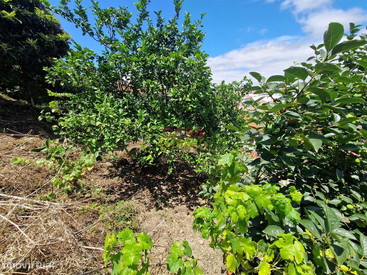 Moradia T2 Venda em Torres Novas (Santa Maria, Salvador e Santiago),To-3