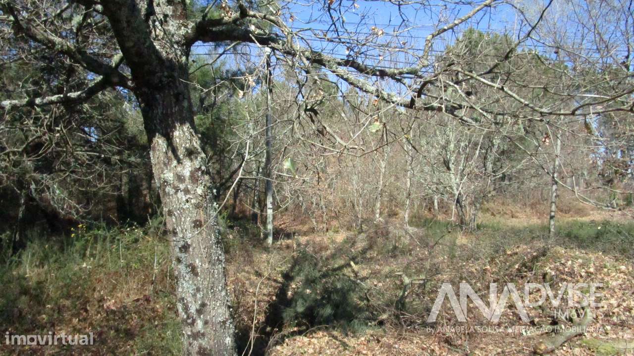 Lote de Terreno  Venda em Barreiros e Cepões,Viseu - Grande imagem: 4/9