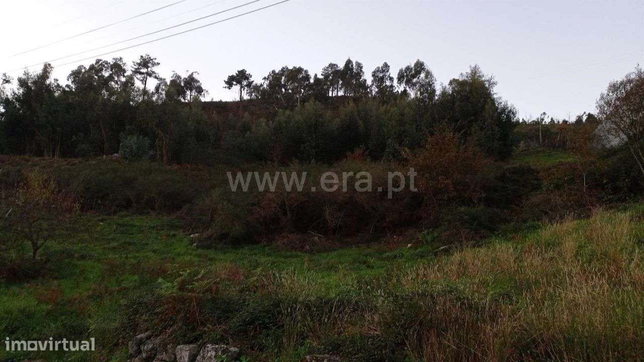Terreno para construção com 10.000 m2 em Fafe - Grande imagem: 5/19