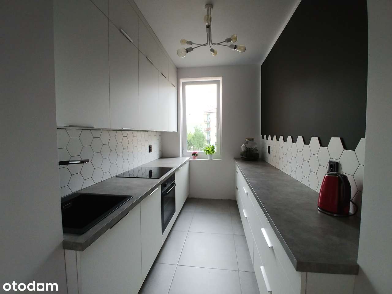 Zadbane, idealna lokalizacja przy UMK, bez wkładu - Pełny obrazek: 2/10