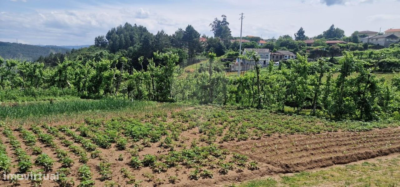 Terreno  para venda