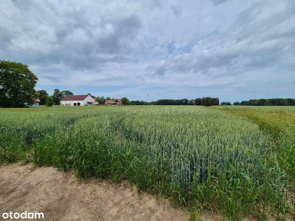 Spokojne miejsce pod agroturystykę-3