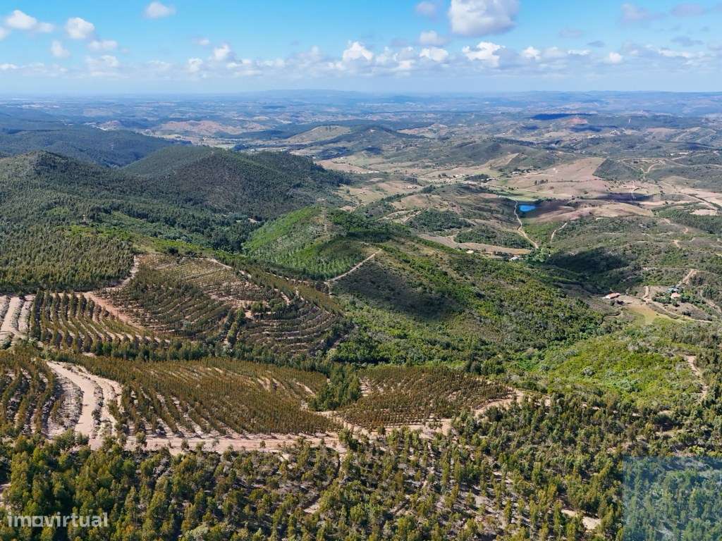 Terreno em São Teotónio, Odemira-16