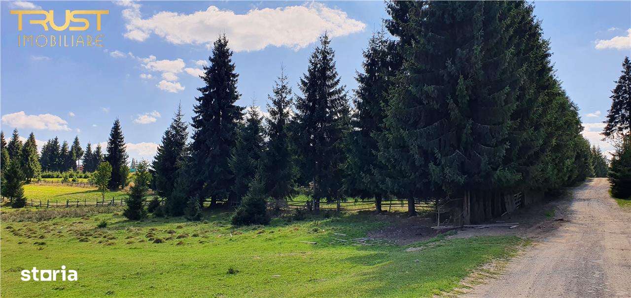 Oportunitare | Teren 1350 mp cu PUZ | Belis-0