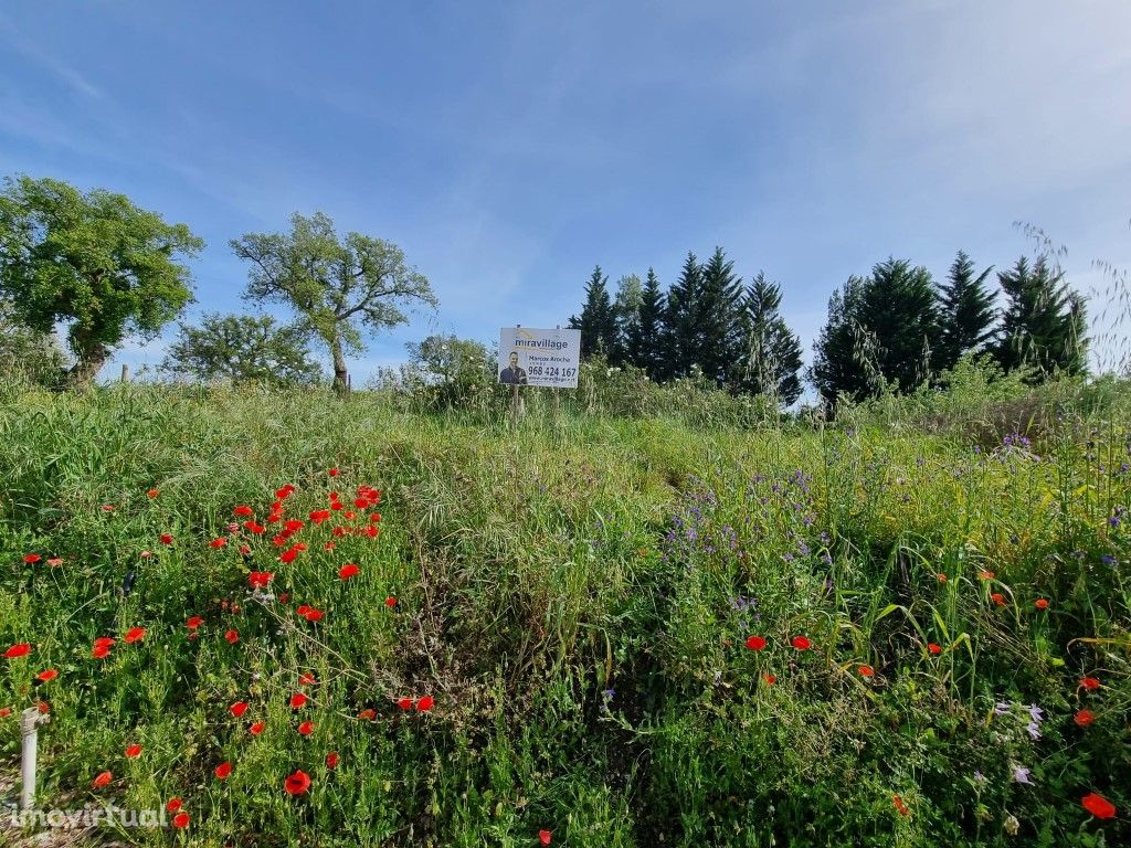 Terreno urbano