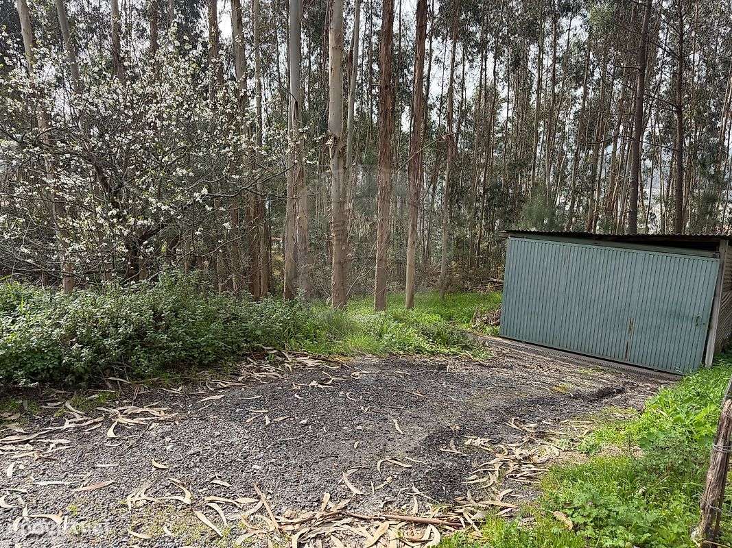 Industrial  para venda-0