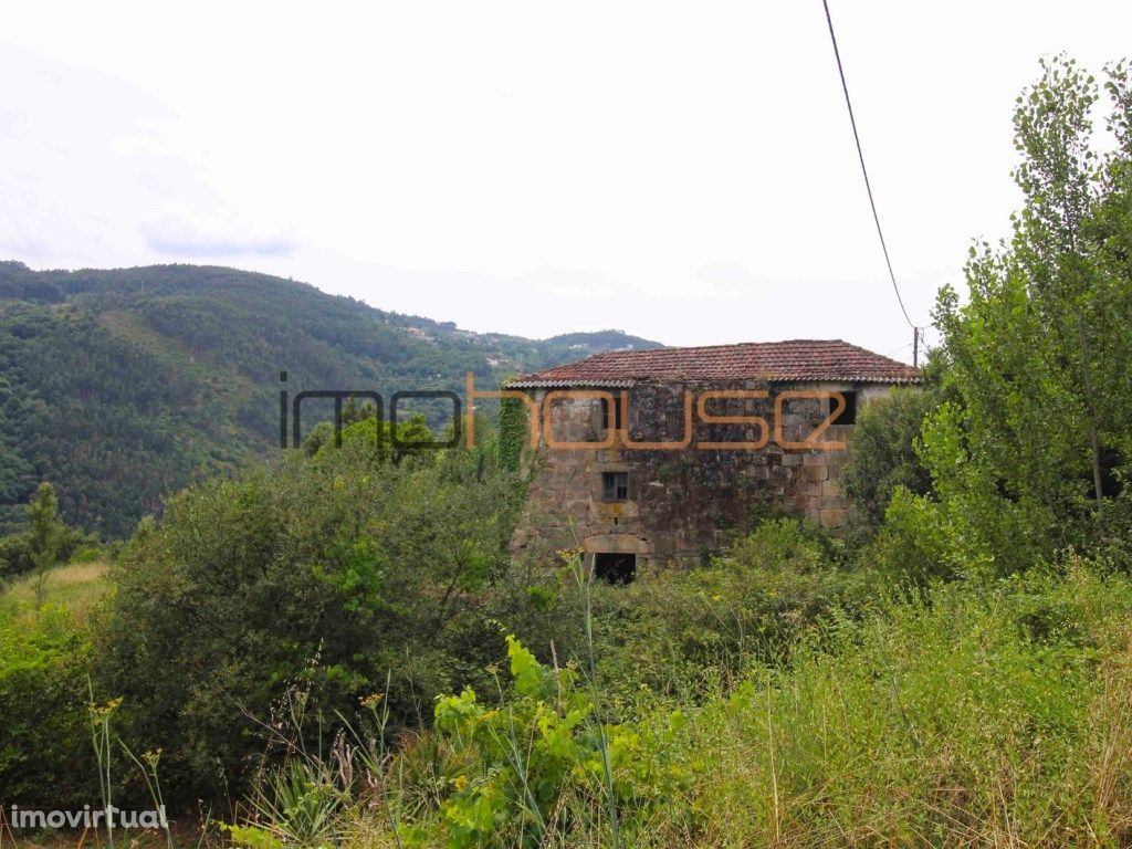 Quinta com vista de Rio Douro - Frente de Ribeiro