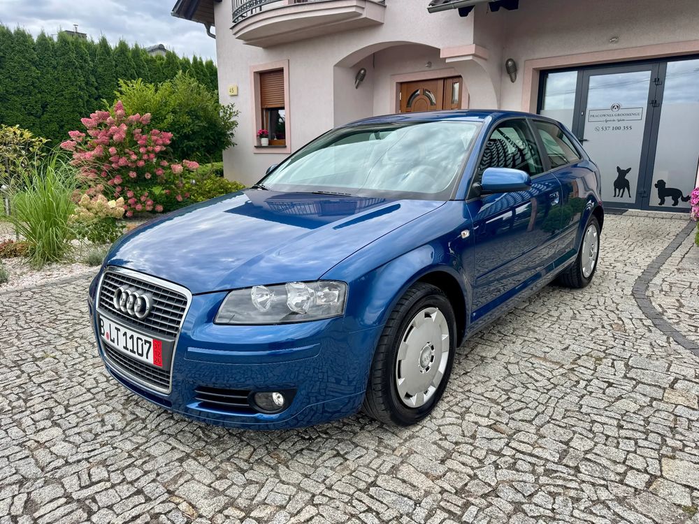 Audi A3 8P (2003-2012) 1.6 Ambition 2006