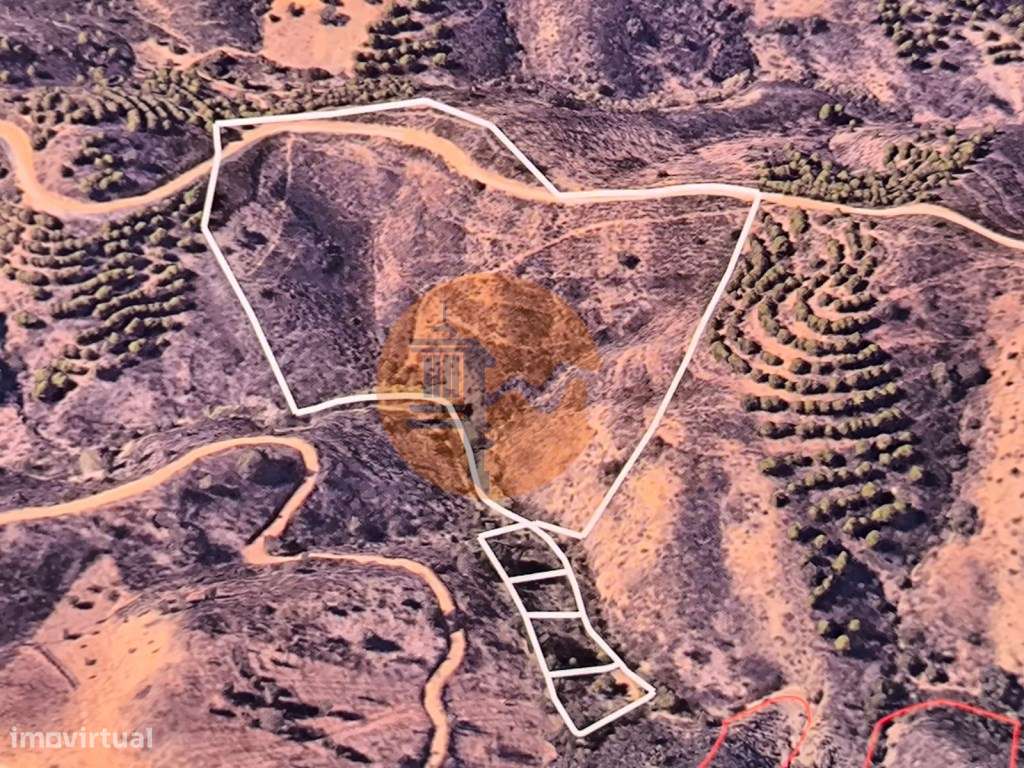 TERRENO RÚSTICO COM 29.400 M² - COM POÇO - LINHA DE ÁGUA - PARTE PL... - Grande imagem: 5/39