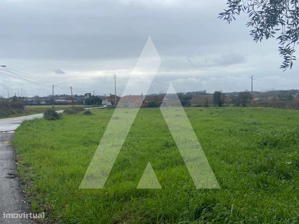 Terreno na Amoreira da Gândara em Anadia-9