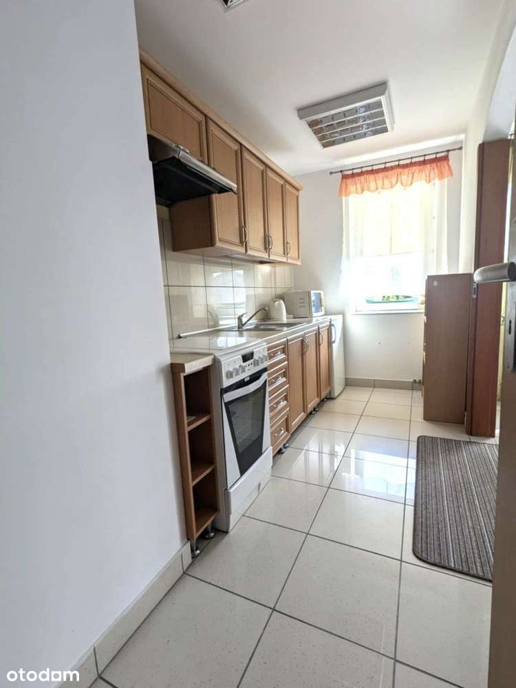 Dom w zabudowie szeregowej z lokalem użytkowym - Pełny obrazek: 5/18