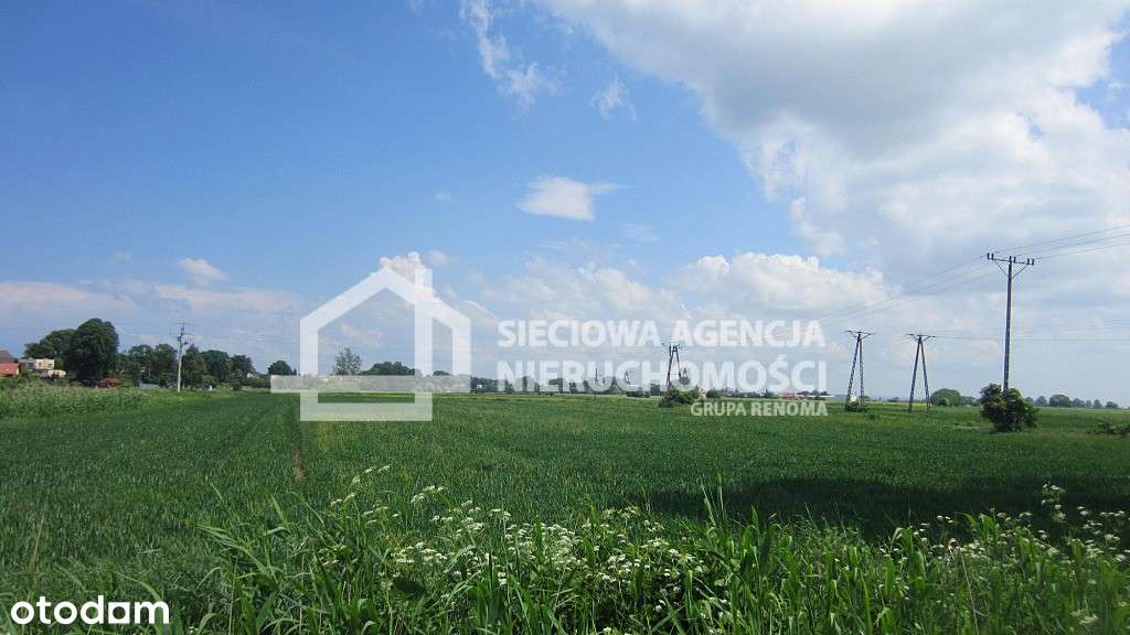 Działka 15 900m2 Sztutowo, ul. Przemysłowa - Pełny obrazek: 4/4