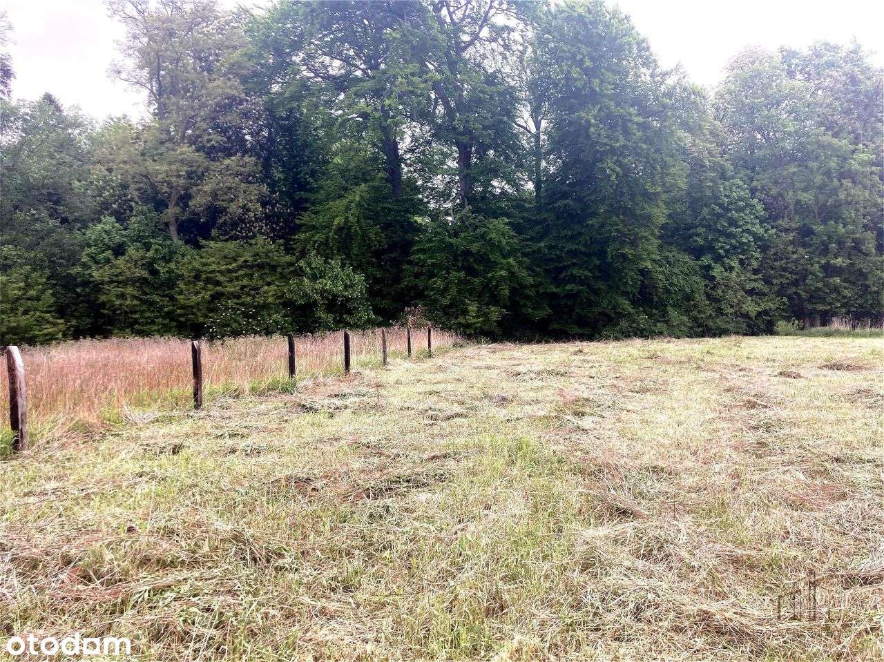 Wisznia Mała piękna działka-0