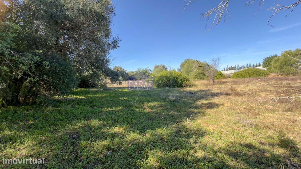 Terreno Rústico plano a 10min de Olhão. Oportunidade-5