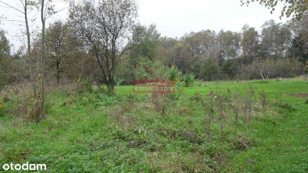 Olszowice, bud.rolne, 36 arów - Pełny obrazek: 4/7