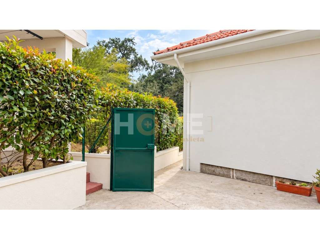 Moradia T3 independente, com garagem para 3 carros e 1257m2 de terr...-25