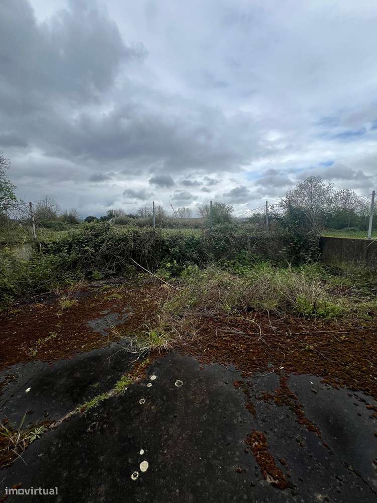 Imóvel comercial em Alvega - 134 m²-12