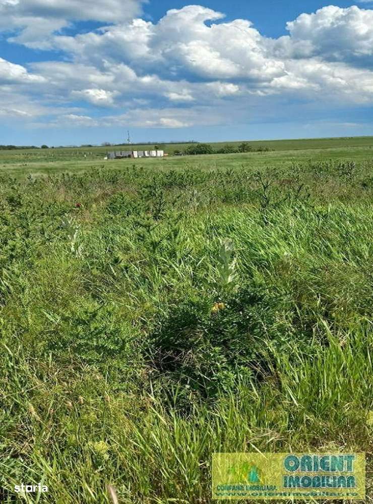 Techirghiol, teren 2.496mp, extravilan-6