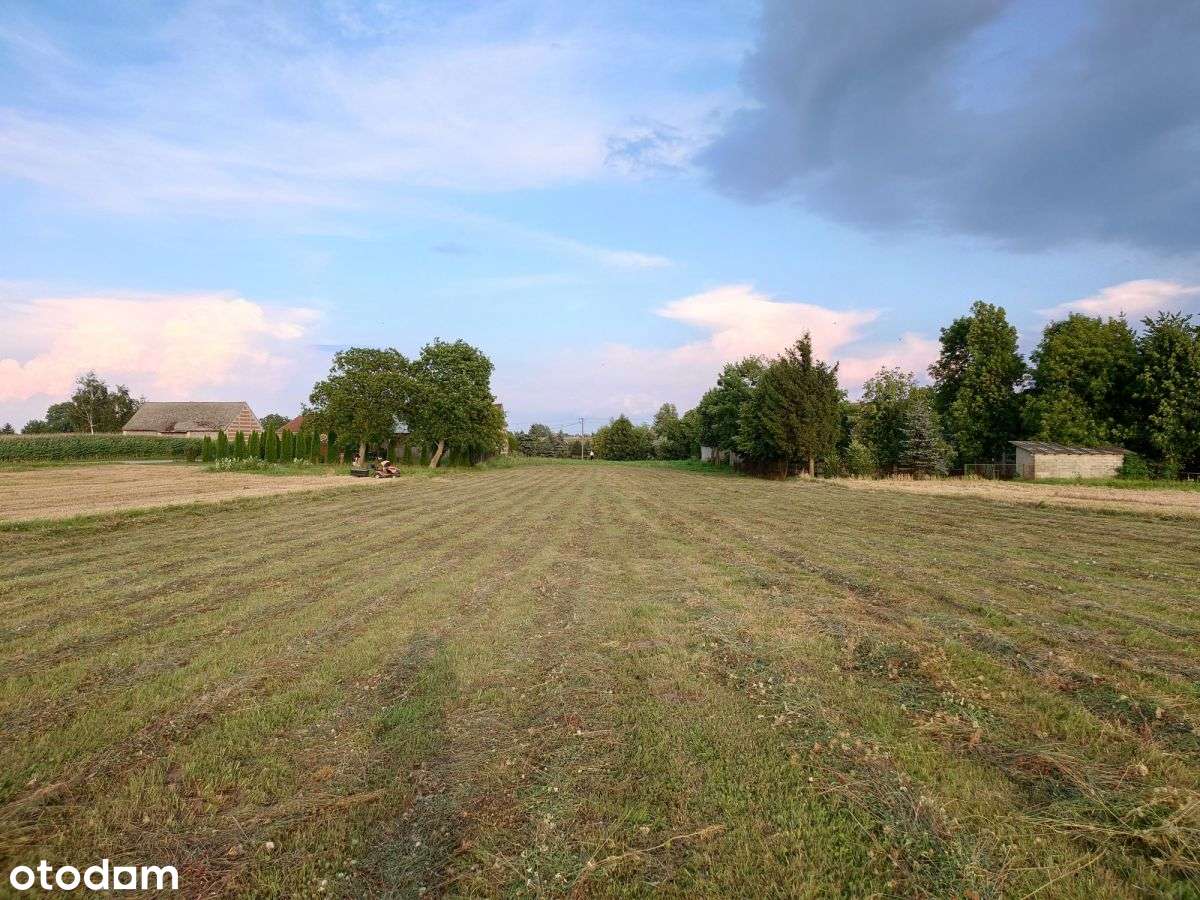 Królewice, 50 km od Krakowa, działka pod zabudowę - Pełny obrazek: 5/8