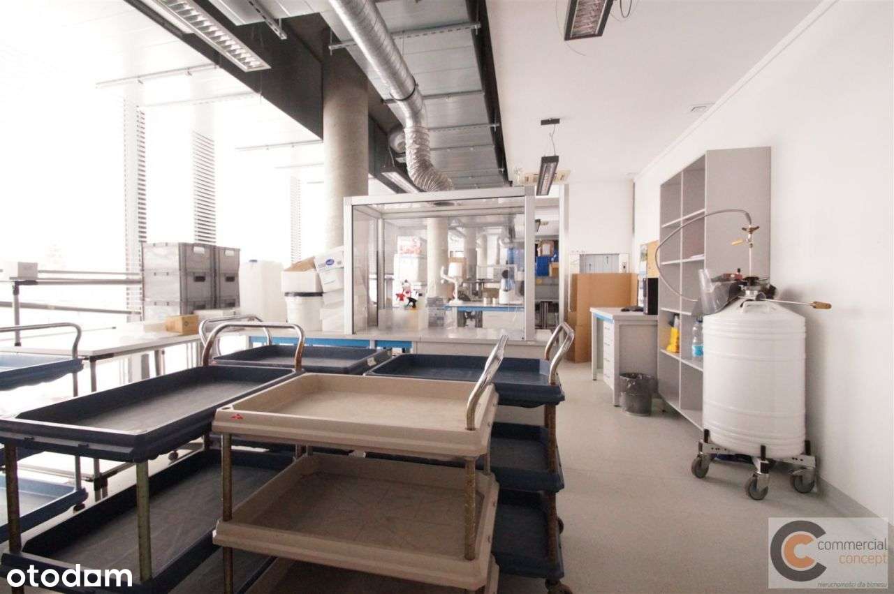 Wykończona Powierzchnia Dla Laboratorium - Pełny obrazek: 5/20