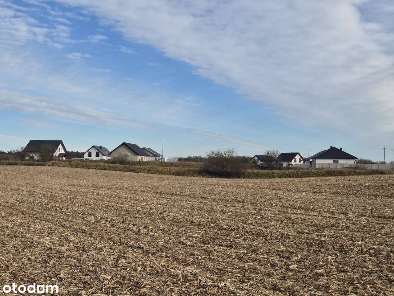 Osiedle w Młynarach na granicy z Margoninem - Pełny obrazek: 4/20