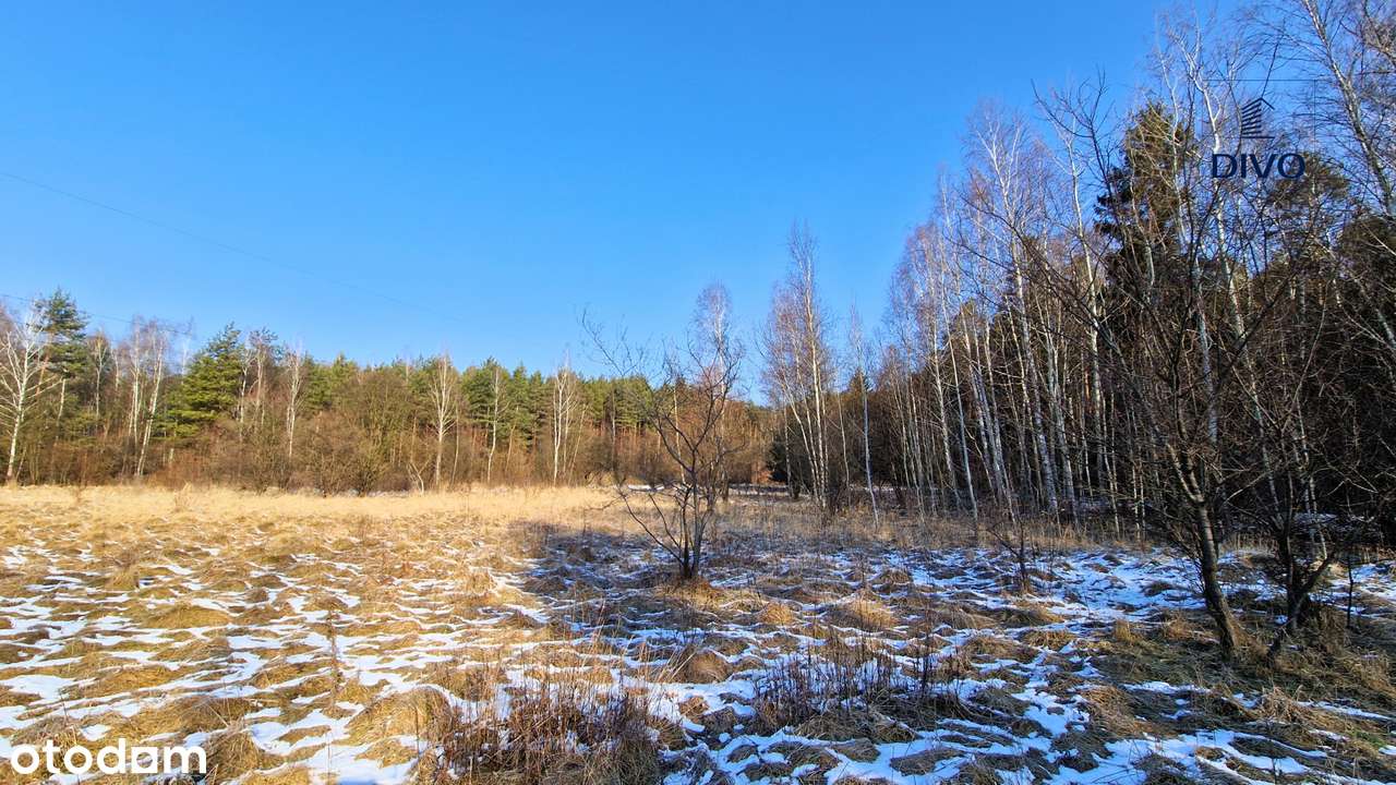Działka blisko zalewu Chechło - Pełny obrazek: 5/7