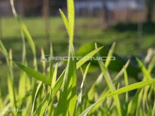 Terreno com 20m de frente - Sarrazola - Grande imagem: 4/7