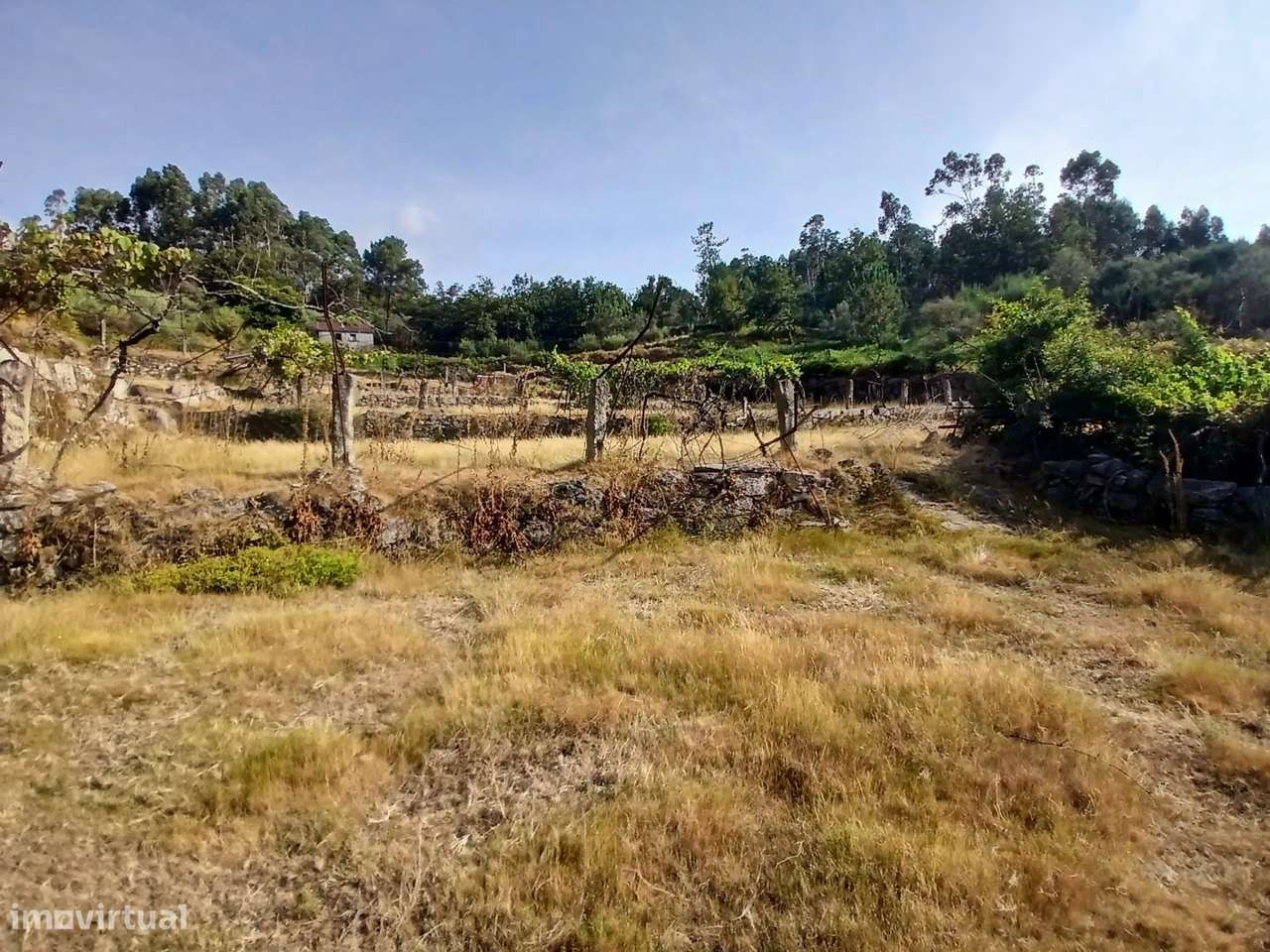 Terreno rústico com casa em pedra para recuperar – Soajo, Arcos de Val-0